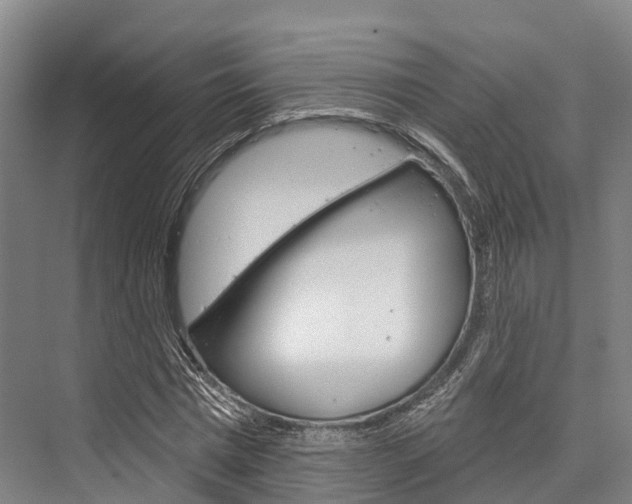 X0000076400777200610060928