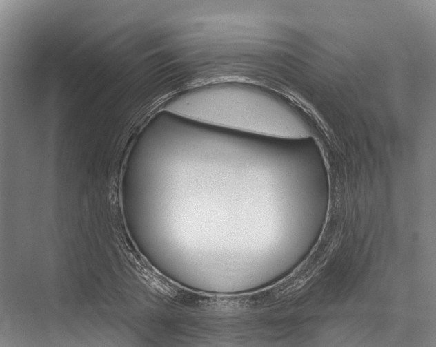 X0000076400785200610060928
