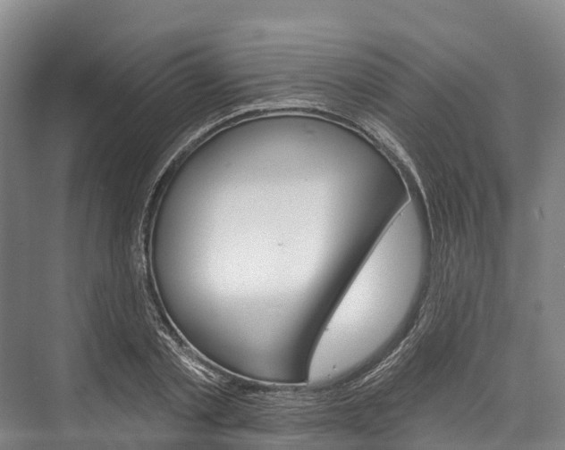 X0000076400789200610060928