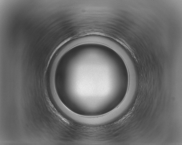 X0000076400790200610060928