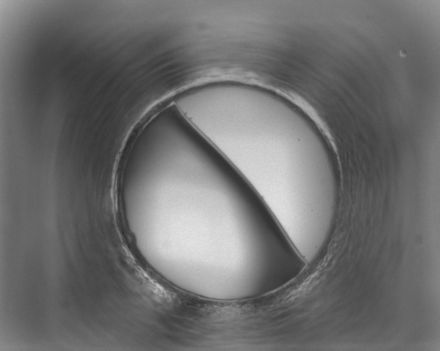 X0000076400791200610060928
