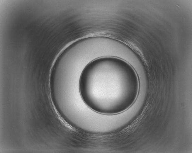 X0000076400792200610060928