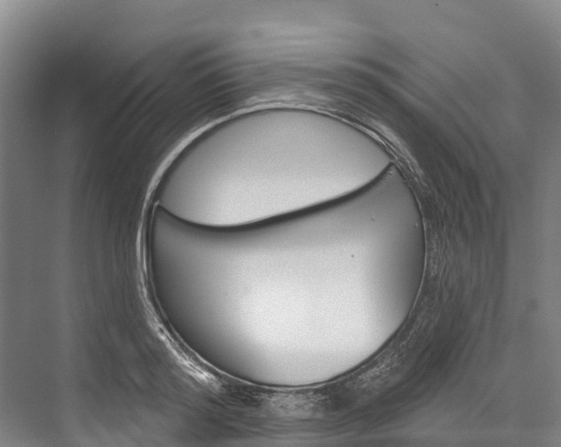 X0000076400796200610060928