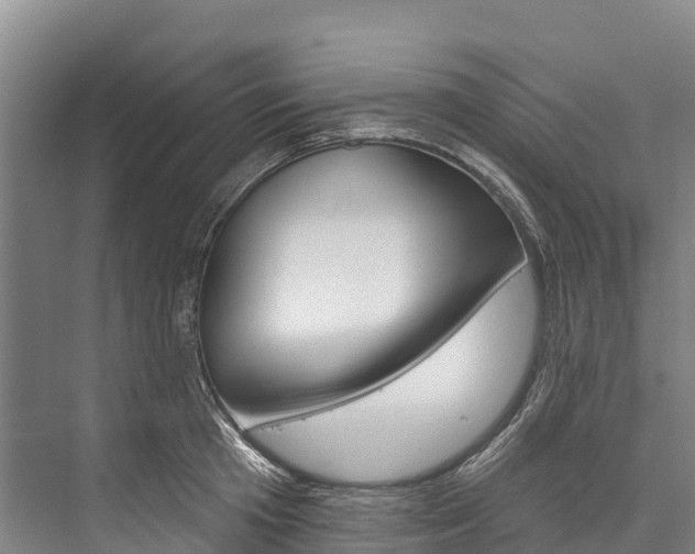 X0000076400801200610060928