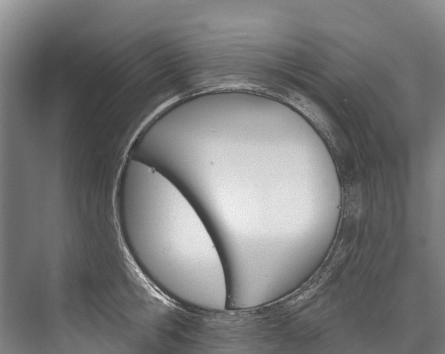 X0000076400806200610060928