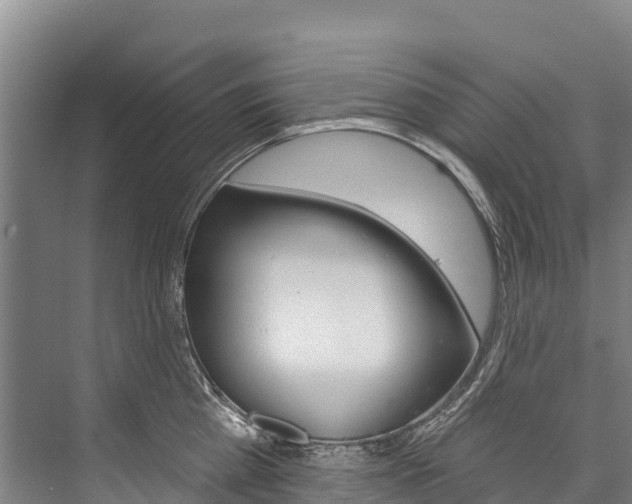 X0000076400809200610060928