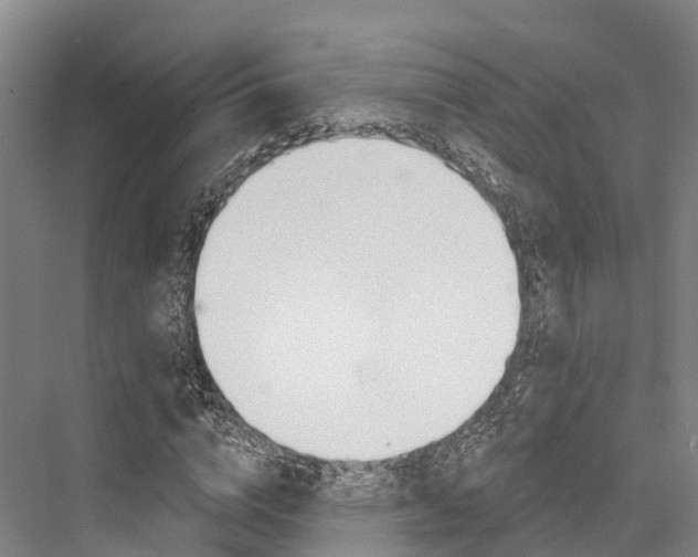 X0000076400824200610060927