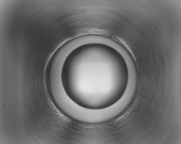 X0000076400835200610060927