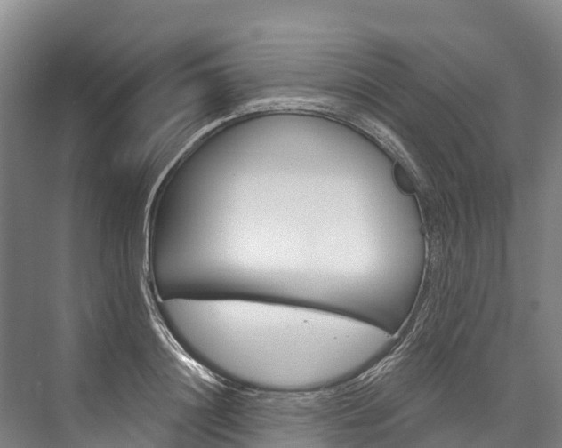 X0000076400844200610060927