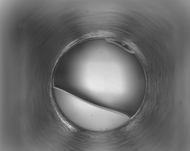 X0000076400850200610060927