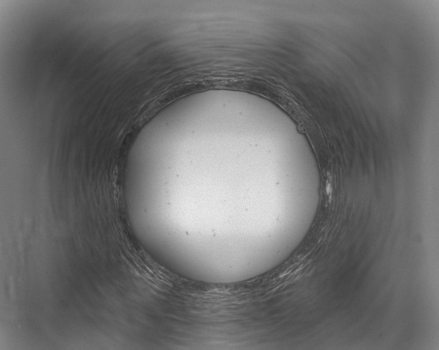 X0000076400867200610060927