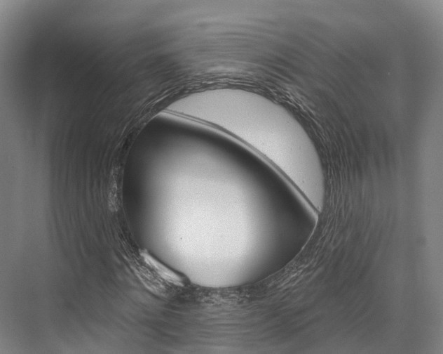 X0000076400868200610060927