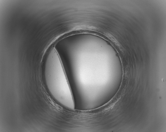 X0000076400877200610060927