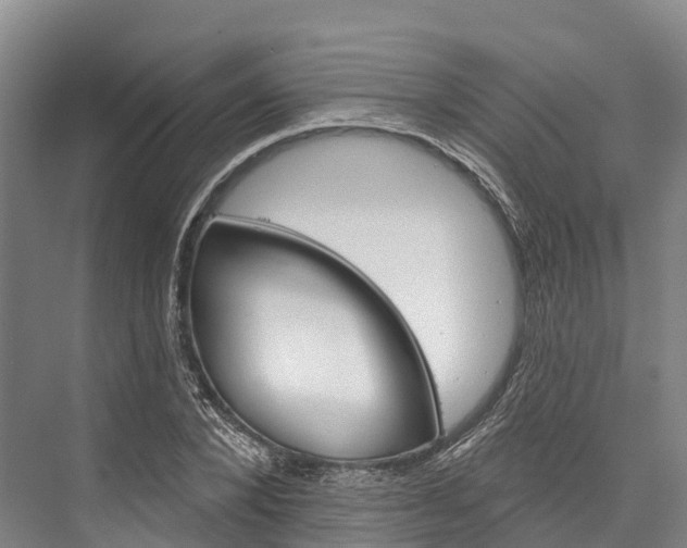 X0000076400880200610060927