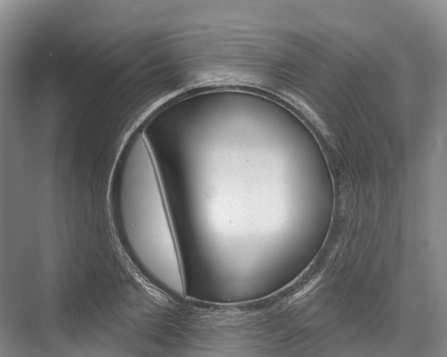 X0000076400885200610060927
