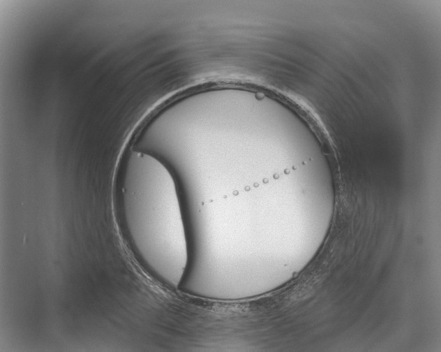 X0000076400887200610060927