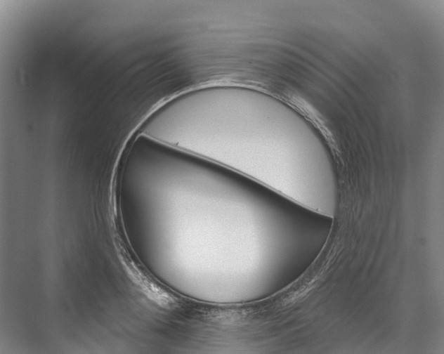 X0000076400892200610060926