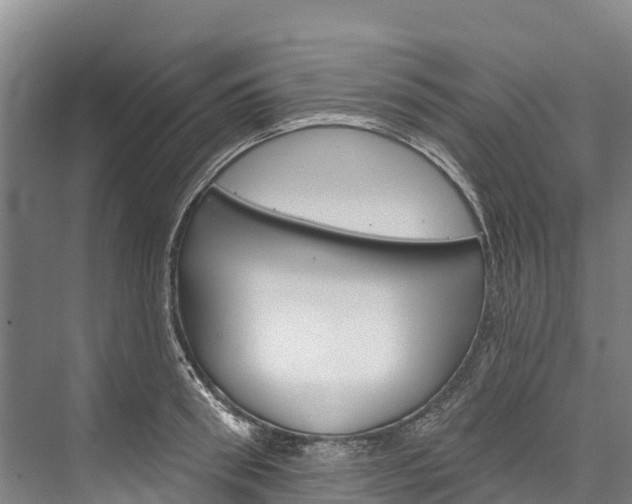 X0000076400898200610060926
