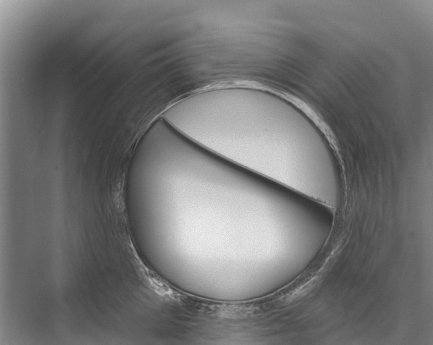 X0000076400905200610060926