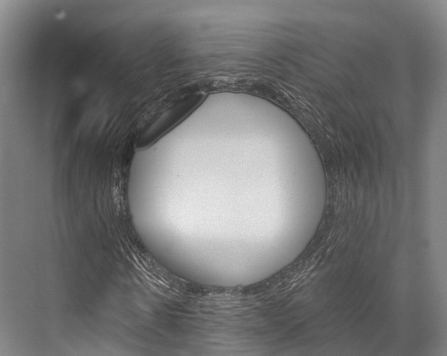 X0000076400914200610060925