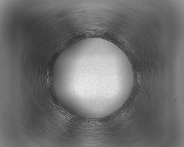 X0000076400915200610060925