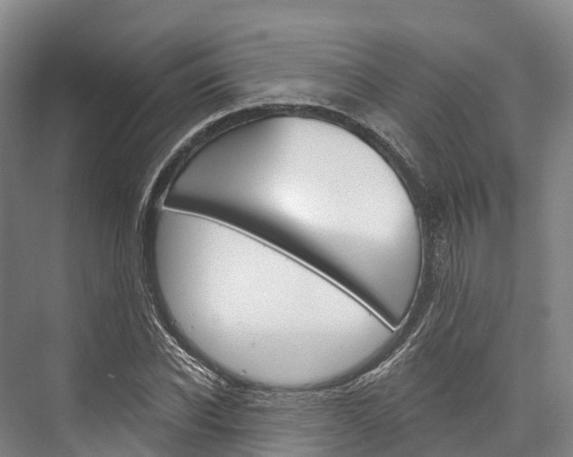 X0000076400926200610060926