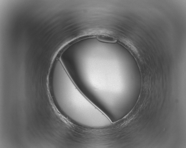 X0000076400936200610060926