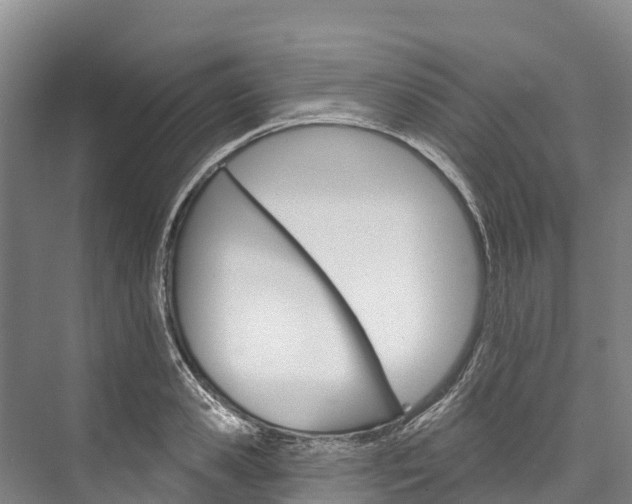 X0000076400941200610060926