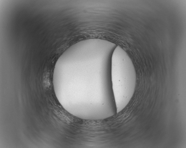 X0000076400962200610060925