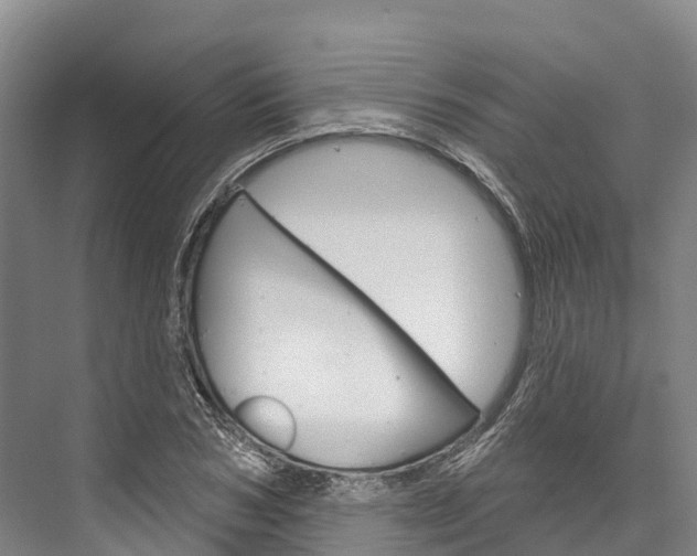 X0000076400978200610060925