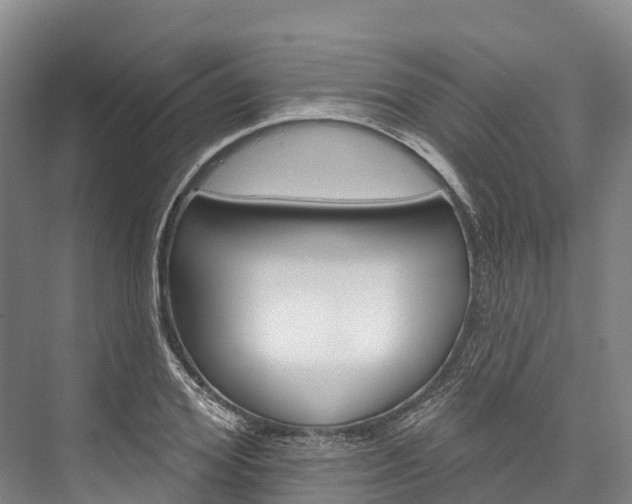 X0000076400980200610060925