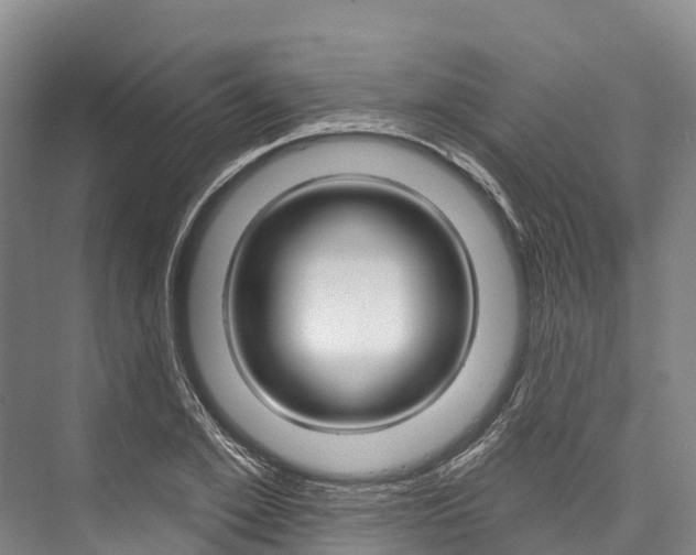 X0000076400981200610060925