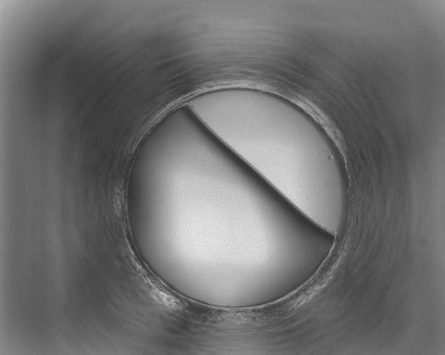 X0000076400993200610060925