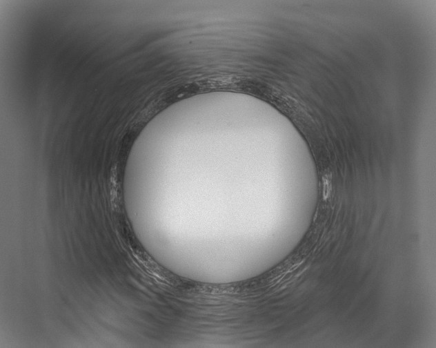 X0000076401011200610060924