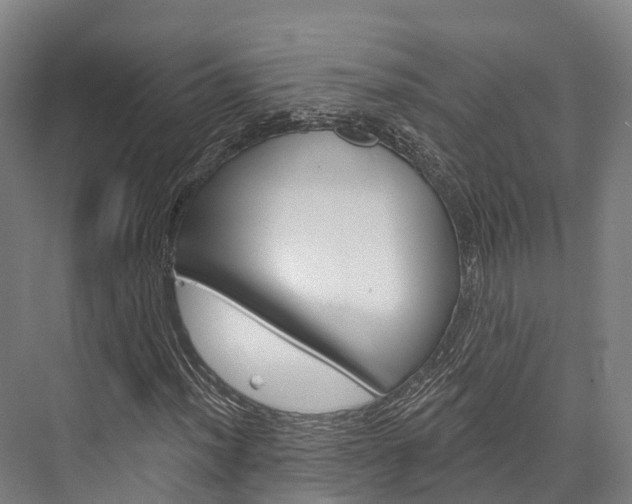 X0000076401012200610060924