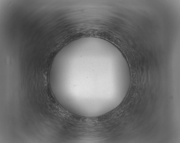 X0000076401013200610060924