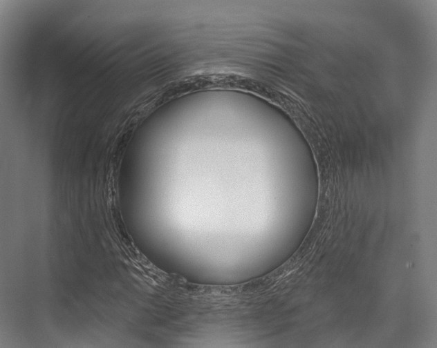 X0000076401014200610060924