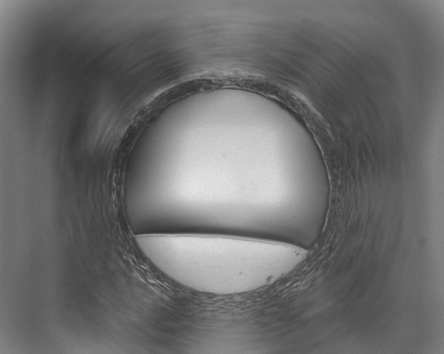 X0000076401016200610060924