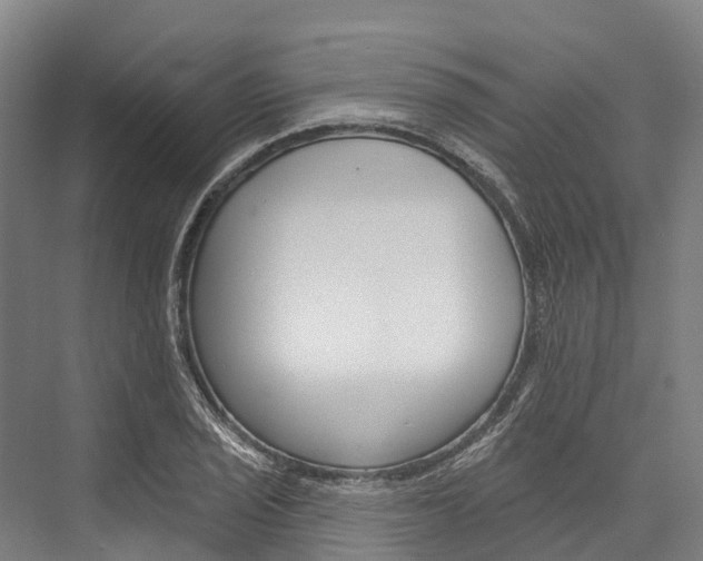 X0000076401029200610060924