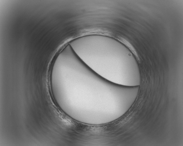 X0000076401043200610060924