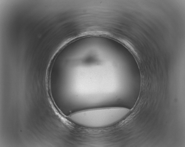 X0000076401046200610060924