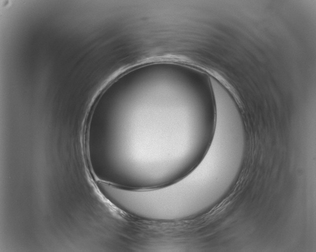 X0000076401054200610060924