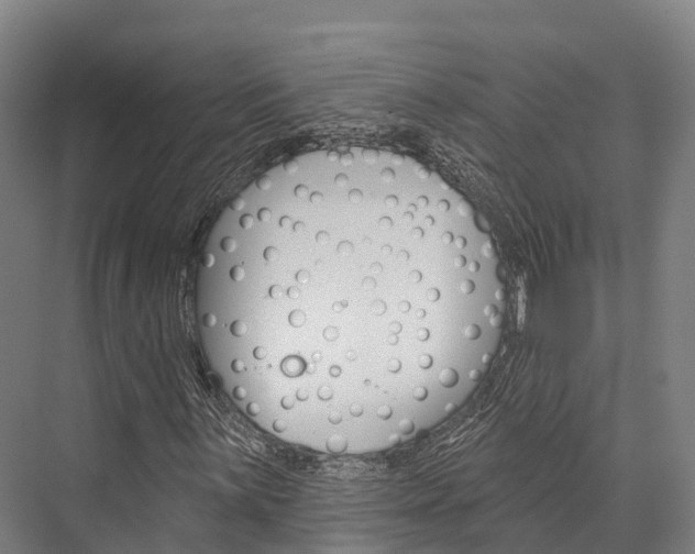 X0000076401059200610060924