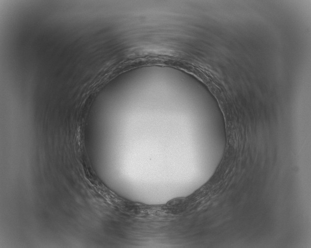 X0000076401061200610060924