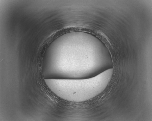 X0000076401064200610060924