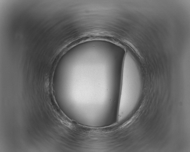 X0000076401065200610060924