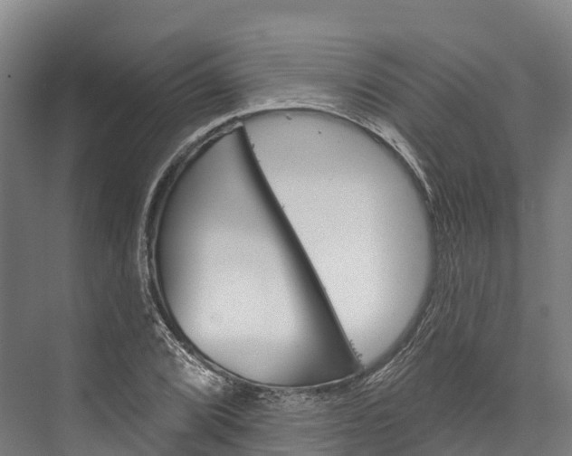 X0000076401072200610060923