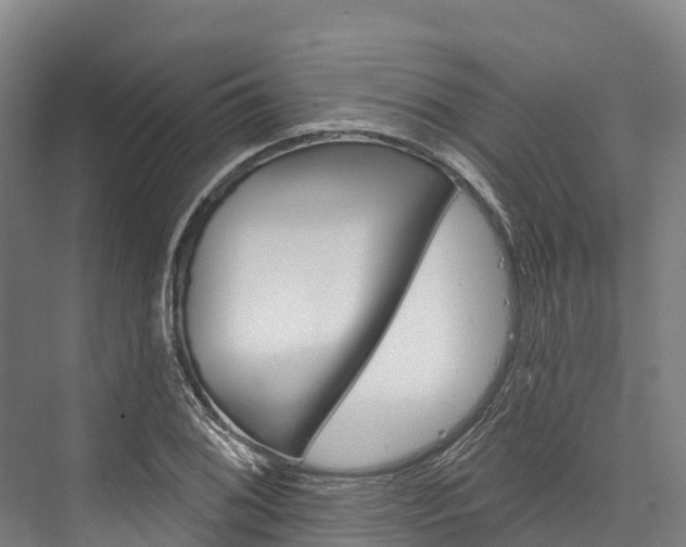 X0000076401076200610060923