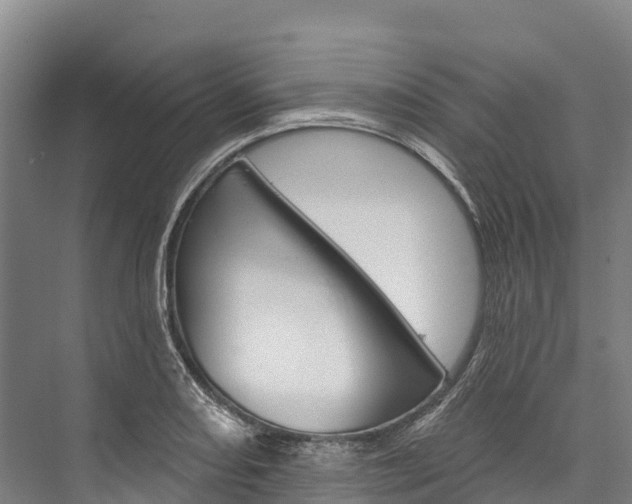 X0000076401082200610060923