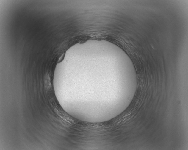 X0000076401106200610060922